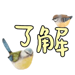 conversation expression bird Chick 214