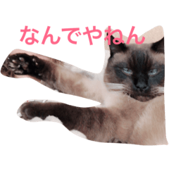 kinchanlife