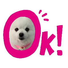 kazuki_20220317131822