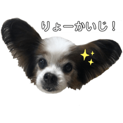 Riho_20220317123908