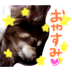kaori_20220317164158