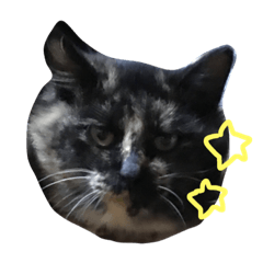eekanjicat