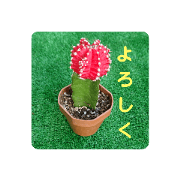 kengoroumaru_20220317164237