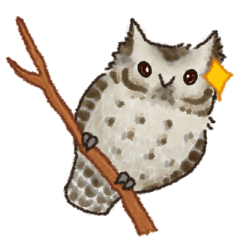 A cute collared scops owl