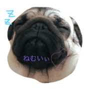 pag&pet