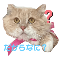 omayu_20220317173416