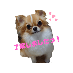 Cherry_20220317145407