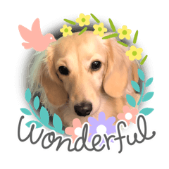 KINACO_20220317153211