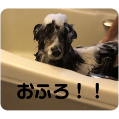 yukari_20220317190211