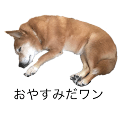 NOZOMI_20220317200744