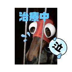 yuka_20220317230153