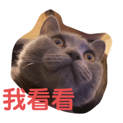 總裁&章章