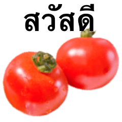 プチ トマト です　野菜　タイ語