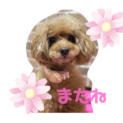 smile_20220318103909