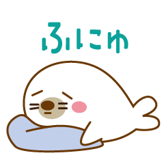 Cute and white seal