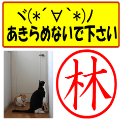 Use your seal No1(For Hayashi)