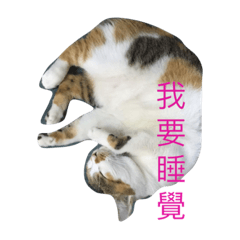 麥麥的日常