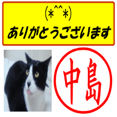 Use your seal No1(For Nakajima)