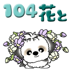 シーズー犬 104『花束と一緒に』