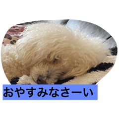 junko_20220317185621