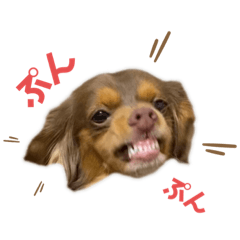 risa_20220317184634