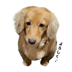 mizuki_20220318072004