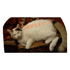cream_20220317195053
