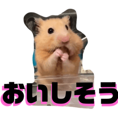 Mayumi Uchimi_20220316193004