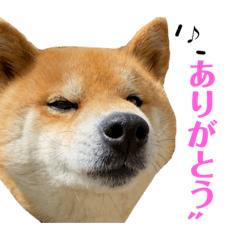 Rei_20220317191711