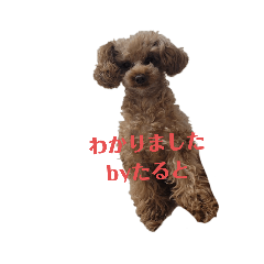 taru_20220318022254