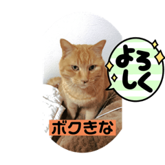 MIKI_20220318120039