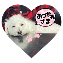 yuka_20220318124437