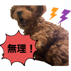 Ai_20220317215357