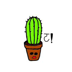 cactuscactusca