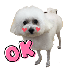 momoko_20220317222035