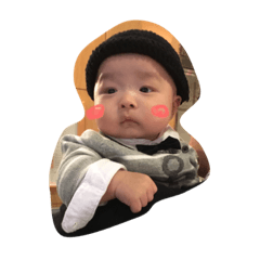 kota kota kota
