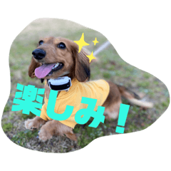 fukup_20220317230838