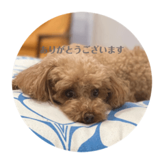 hana_20220317234524