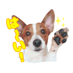 arisa_20220317235414