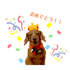 Nanami_20220318000053