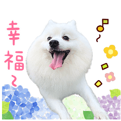 帥狐可樂 ❤️