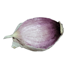 Food Series : Some Garlic #2