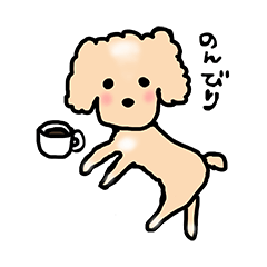 Cute toy poodle Melody
