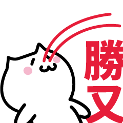 LAST NAME Sticker KATSUMATA!!!