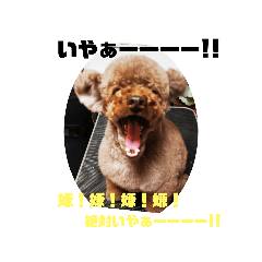 ponsaku_20220318193439