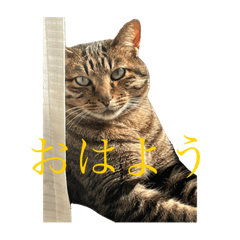 smile_20220318200218