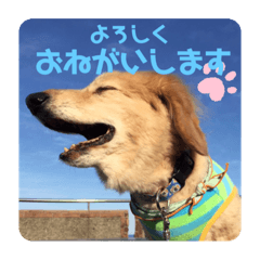 fukup_20220318214608