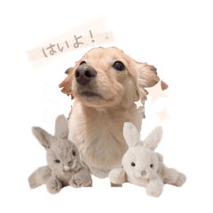 hana_20220318232645