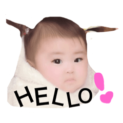 suzuchan23
