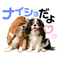 KAORI_20220318233848